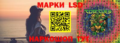спиды Славгород