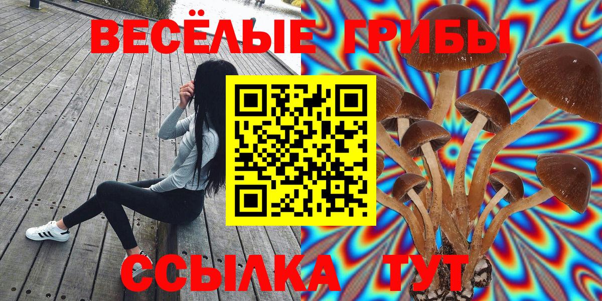Самара  Галлюциногенные грибы Cubensis  Вход с VPN  Галлюциногенные грибы Psilocybine cubensis 